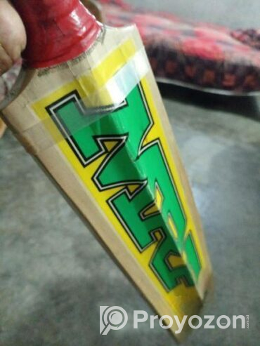 ক্রিকেট ব্যাট