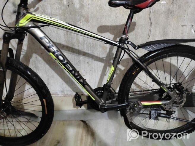 Phoenix for sale