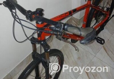 fitted-12_2025-06-29_07-04-51
