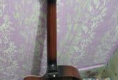 Guiter Sell Arjent