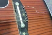 Guiter Sell Arjent