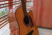 Full size professional acoustic gitar