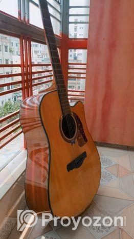 Full size professional acoustic gitar
