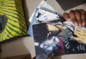 Enimes Book Solo leveling Volume