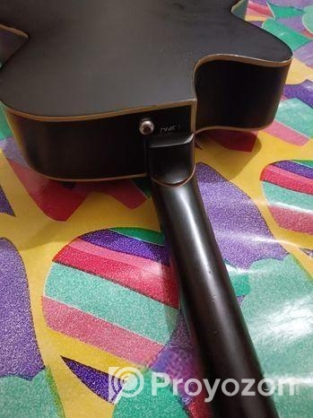 Guiter Sell Post (Used)