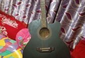Guiter Sell Post (Used)
