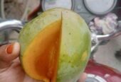 দিনাজপুরের মিসরি ভোগ আম