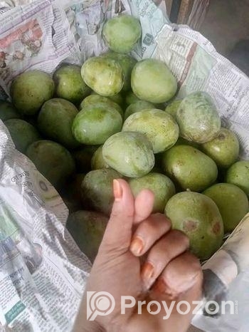দিনাজপুরের মিসরি ভোগ আম