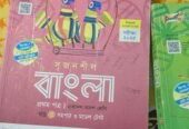 বাংলা ইংরেজি এবং আইসিটি গাইড বই