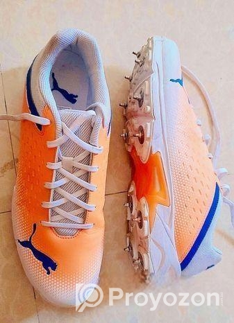 Cricket shoe Sell Post