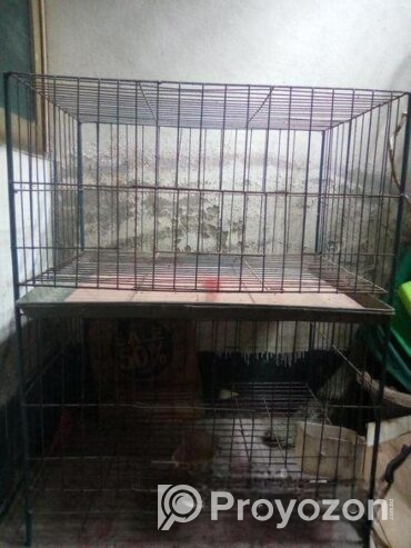 Khacha for sale