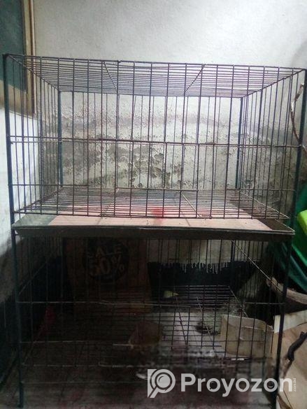 Khacha for sale