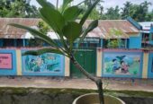 কাঠগোলাপ J4