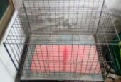 Khacha for sale