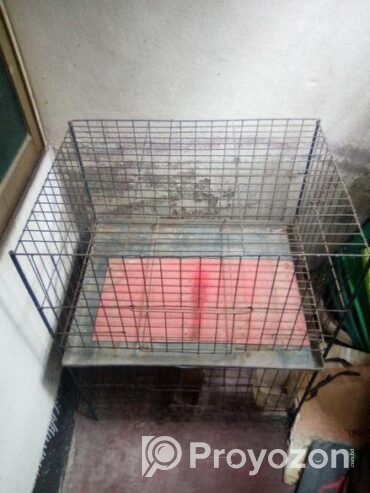Khacha for sale