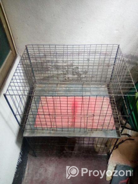 Khacha for sale