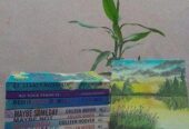 Colleen Hoover book collection