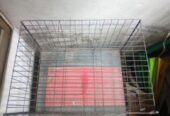 Khacha for sale