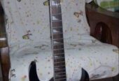 Guitar, Processor And Bag