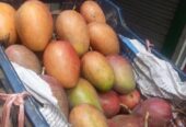 মিয়াজাকি আম (Miyazaki Mango)