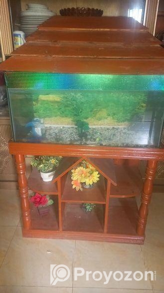 Aquarium