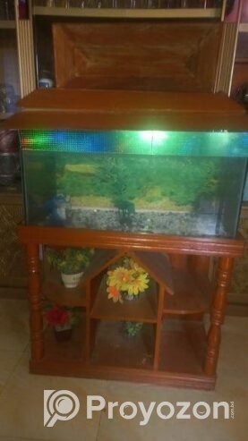 Aquarium