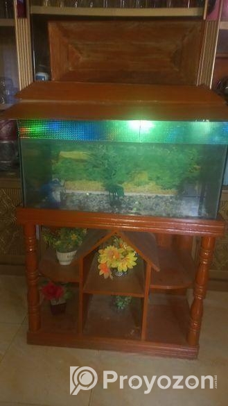 Aquarium
