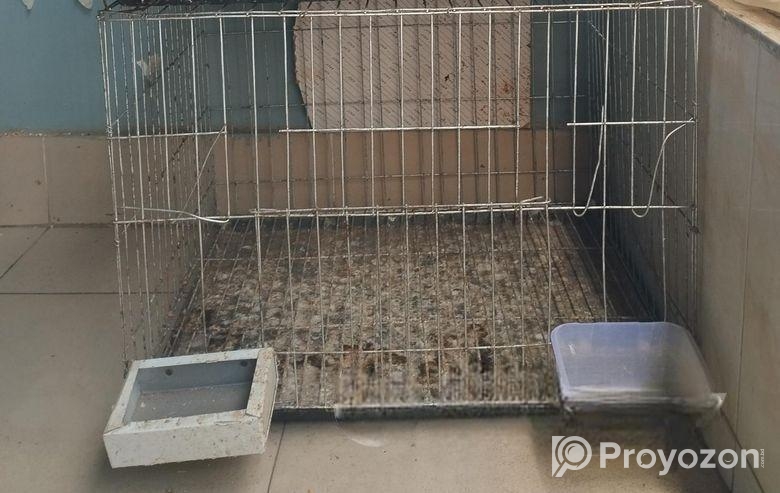 সিঙ্গেল খাঁচা 2 পিস ও প্রয়োজনীয় ডিমের হাড়ি,