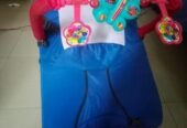 Baby Bouncer
