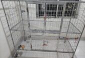 Cat Cage For Sale
