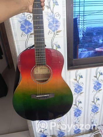 গিটার বিক্রি করা হবে