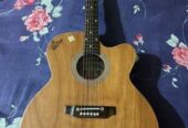 Signature Guitar