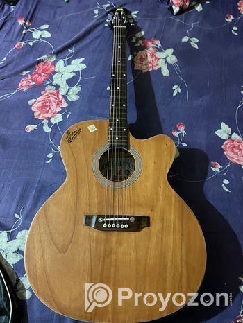 Signature Guitar