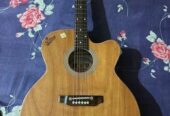 Signature Guitar