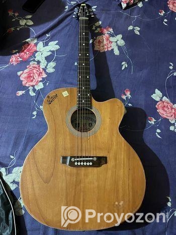 Signature Guitar