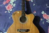 Signature Guitar