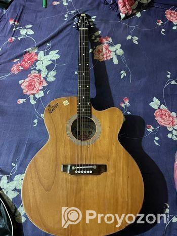 Signature Guitar