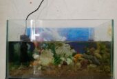 Aquarium