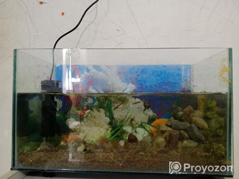 Aquarium
