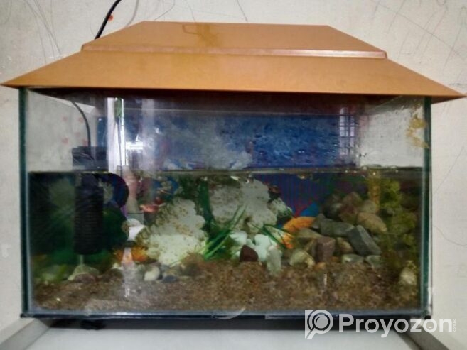 Aquarium