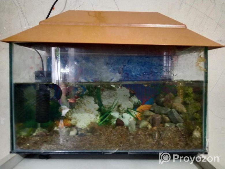 Aquarium