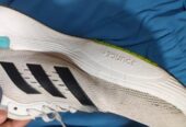 Italian shoe