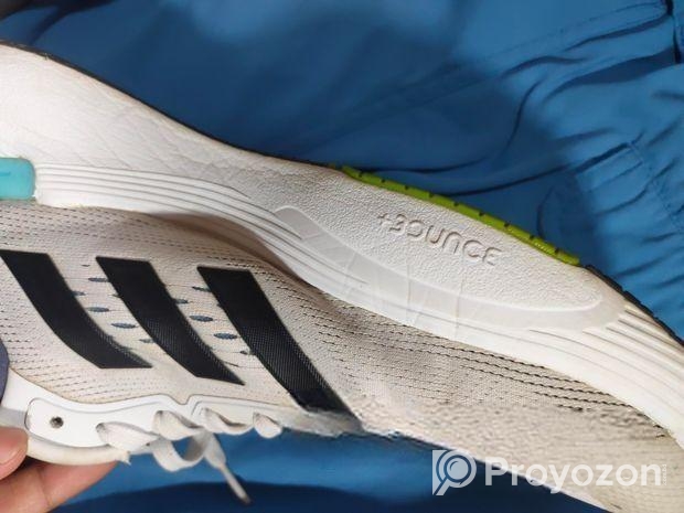 Italian shoe