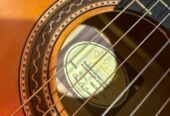 Classical Guitar (Valencia)