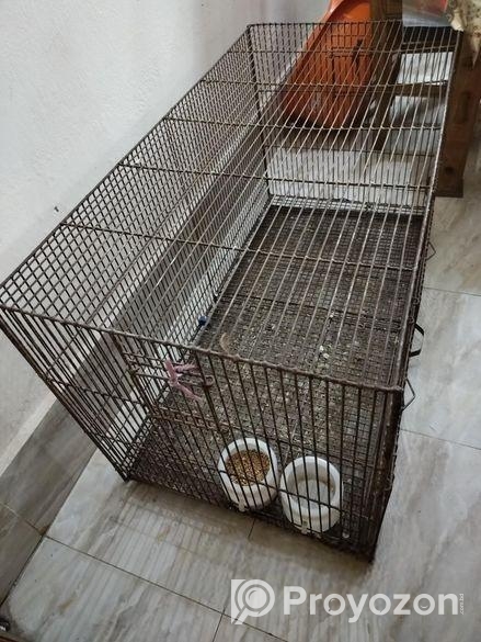 এই পাখির খাঁচাটা বিক্রি করা হবে