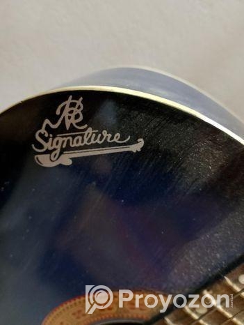 Signeture Guiter Sell Post