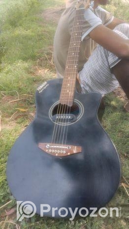 Used Guitar for Sale Budget Friendly