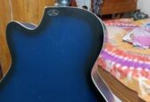 Signeture Guiter Sell Post