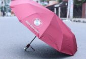 BMW UMBRELLA (AUTO LOCK) 12 Ribs