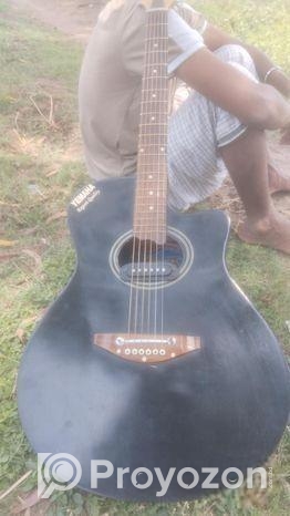 Used Guitar for Sale Budget Friendly